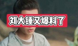 刘大锤爆料后续视频大全,揭秘事件真相与精彩瞬间